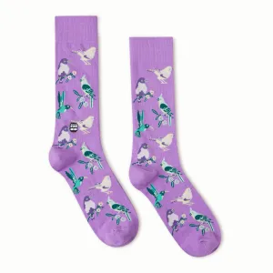 Birds Socks