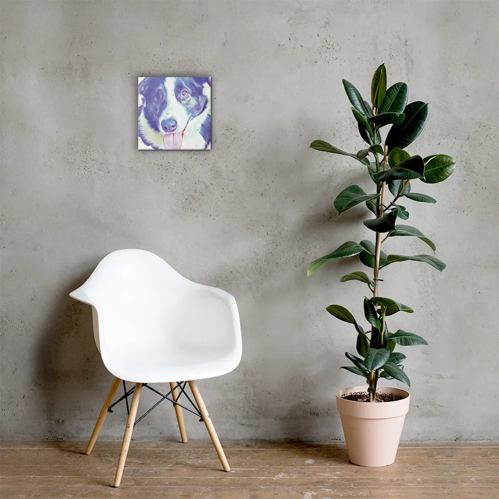Budy Boi on Canvas (in)