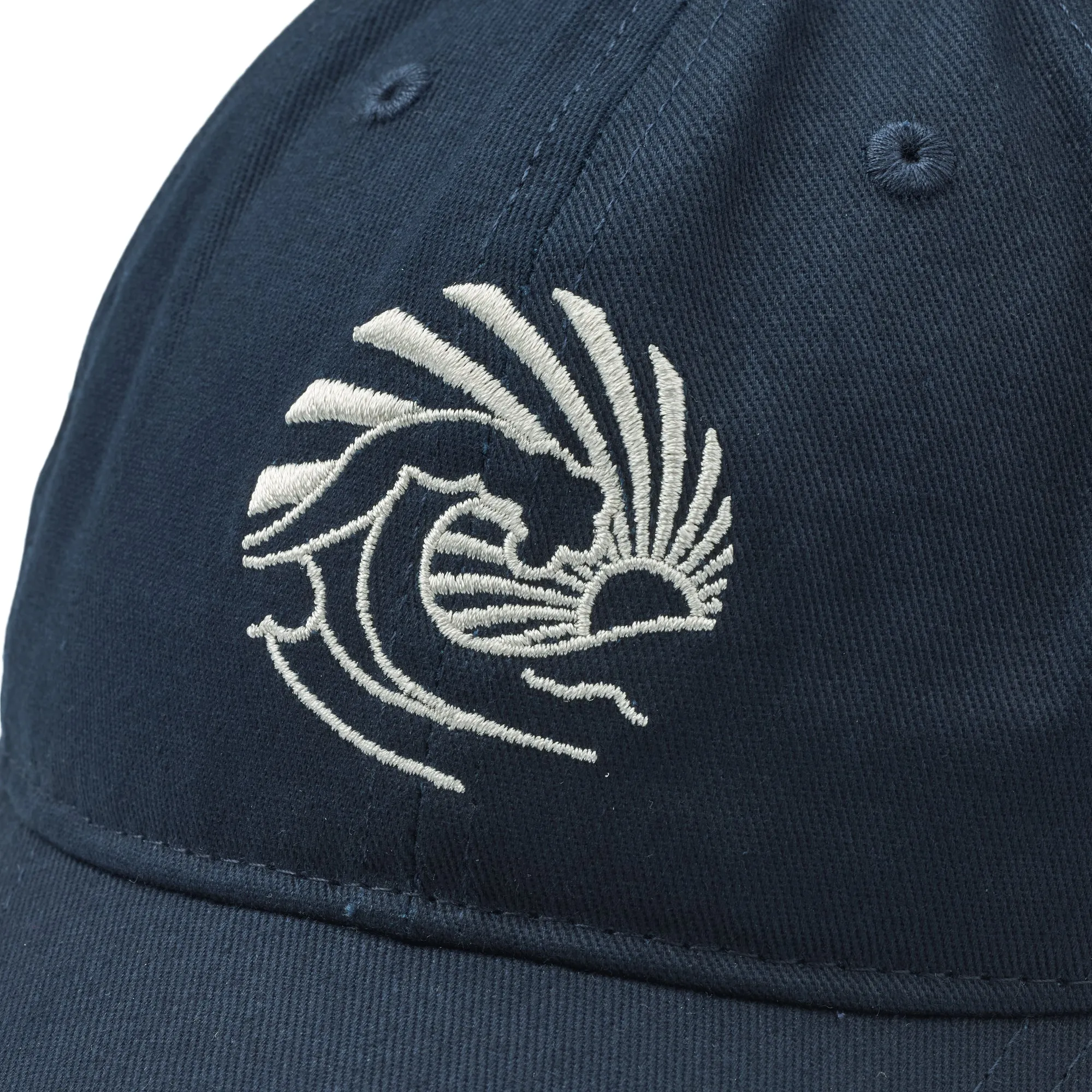 Cap Cecil blue waves