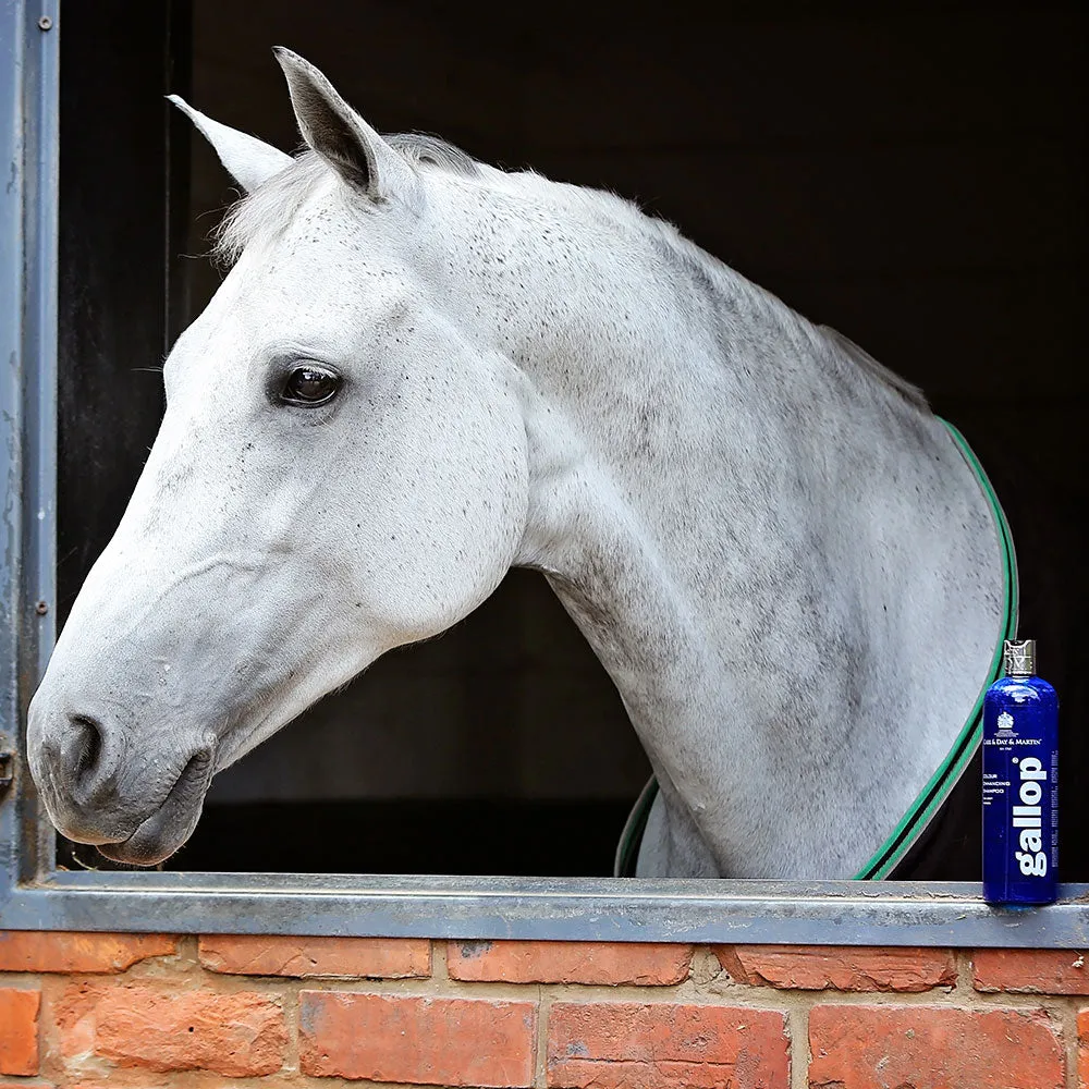 Carr & Day & Martin Gallop Colour Enhancing Shampoo for Grey Horses
