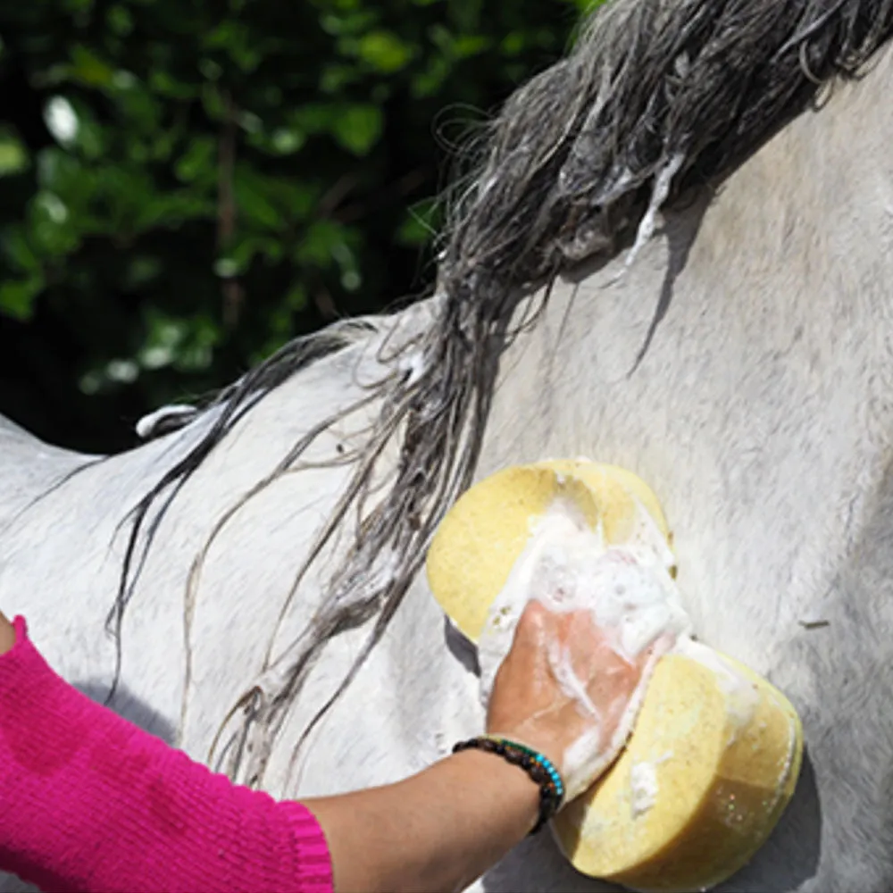 Carr & Day & Martin Gallop Colour Enhancing Shampoo for Grey Horses
