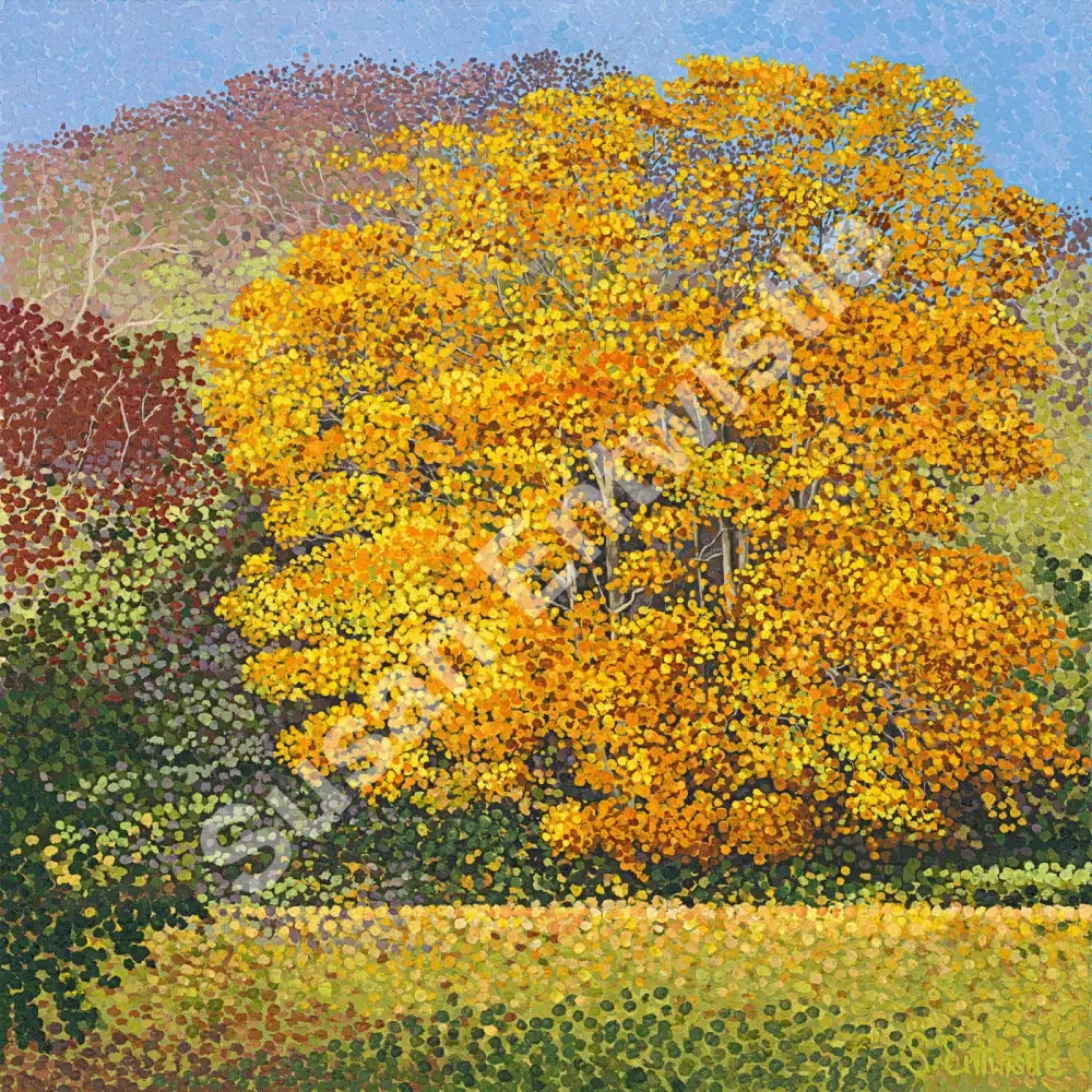 Field Maple Limited Edition Print