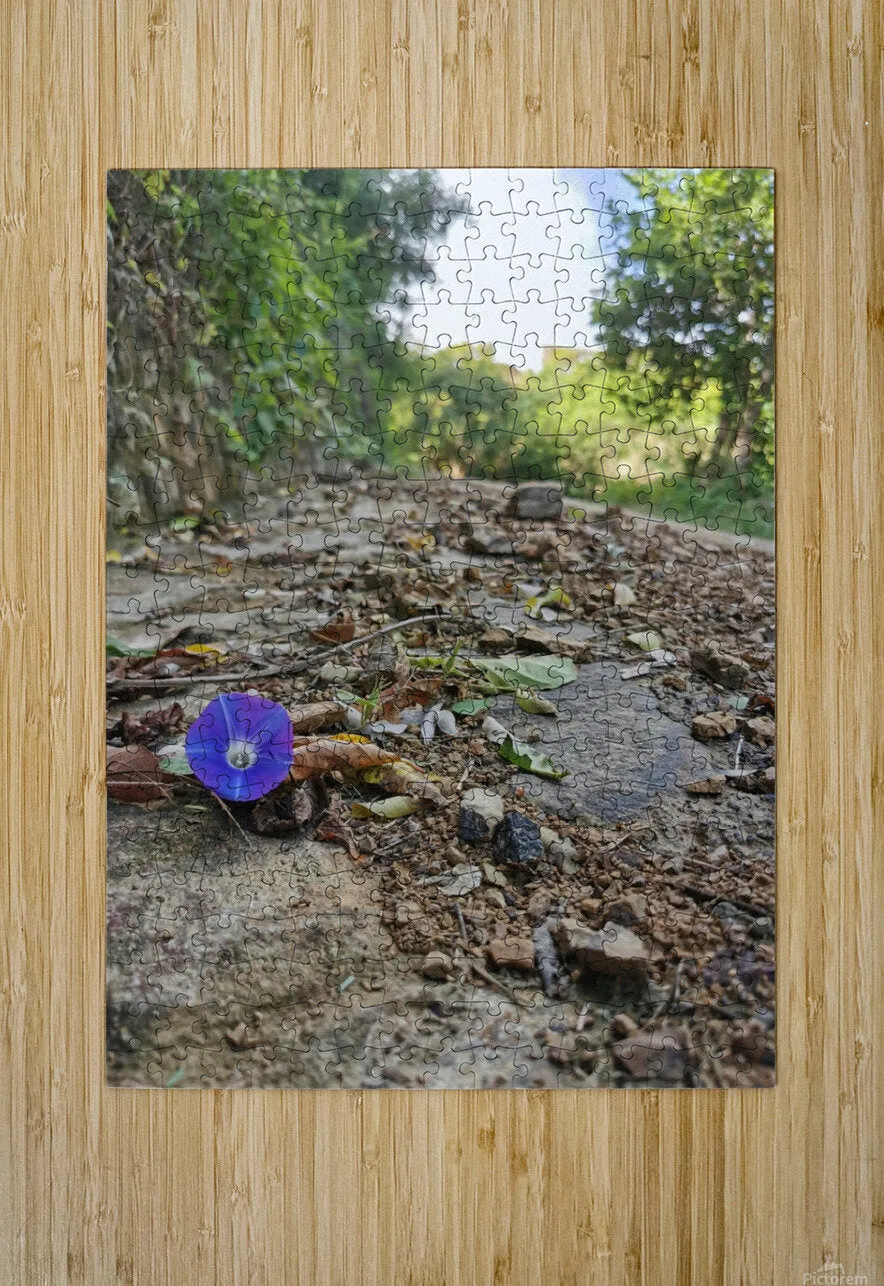 Flower in the Rough