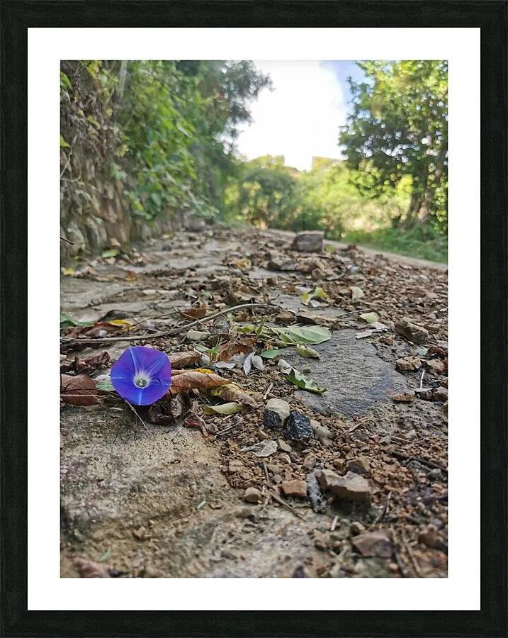 Flower in the Rough