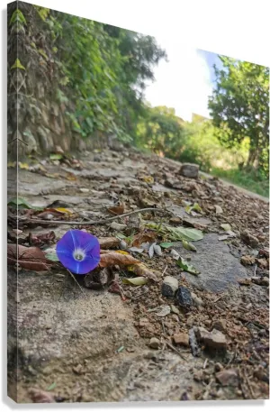 Flower in the Rough