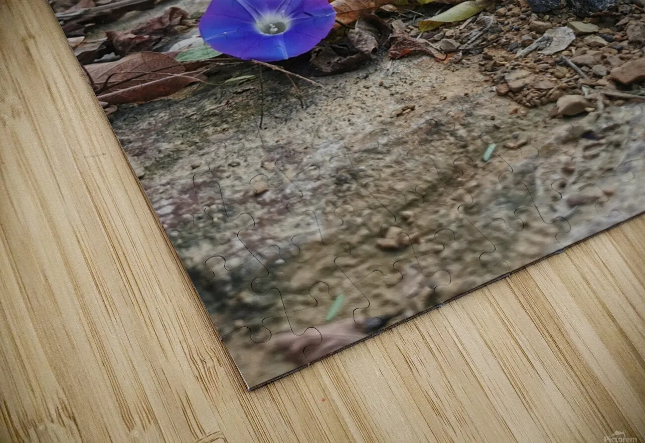 Flower in the Rough
