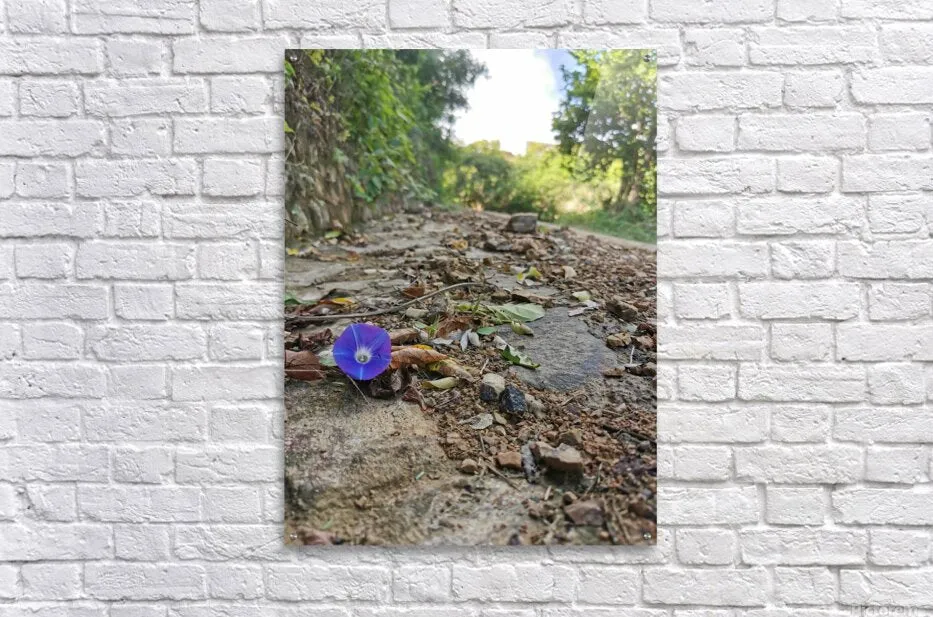Flower in the Rough