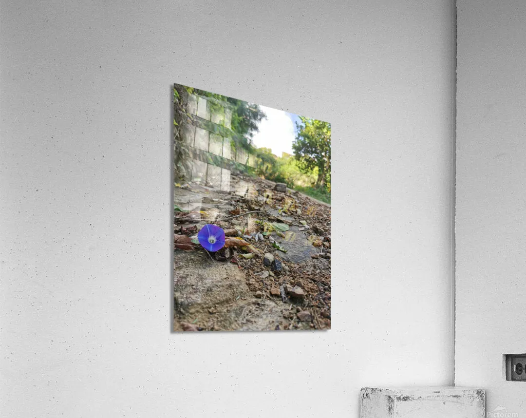 Flower in the Rough