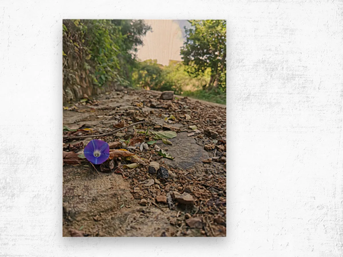 Flower in the Rough