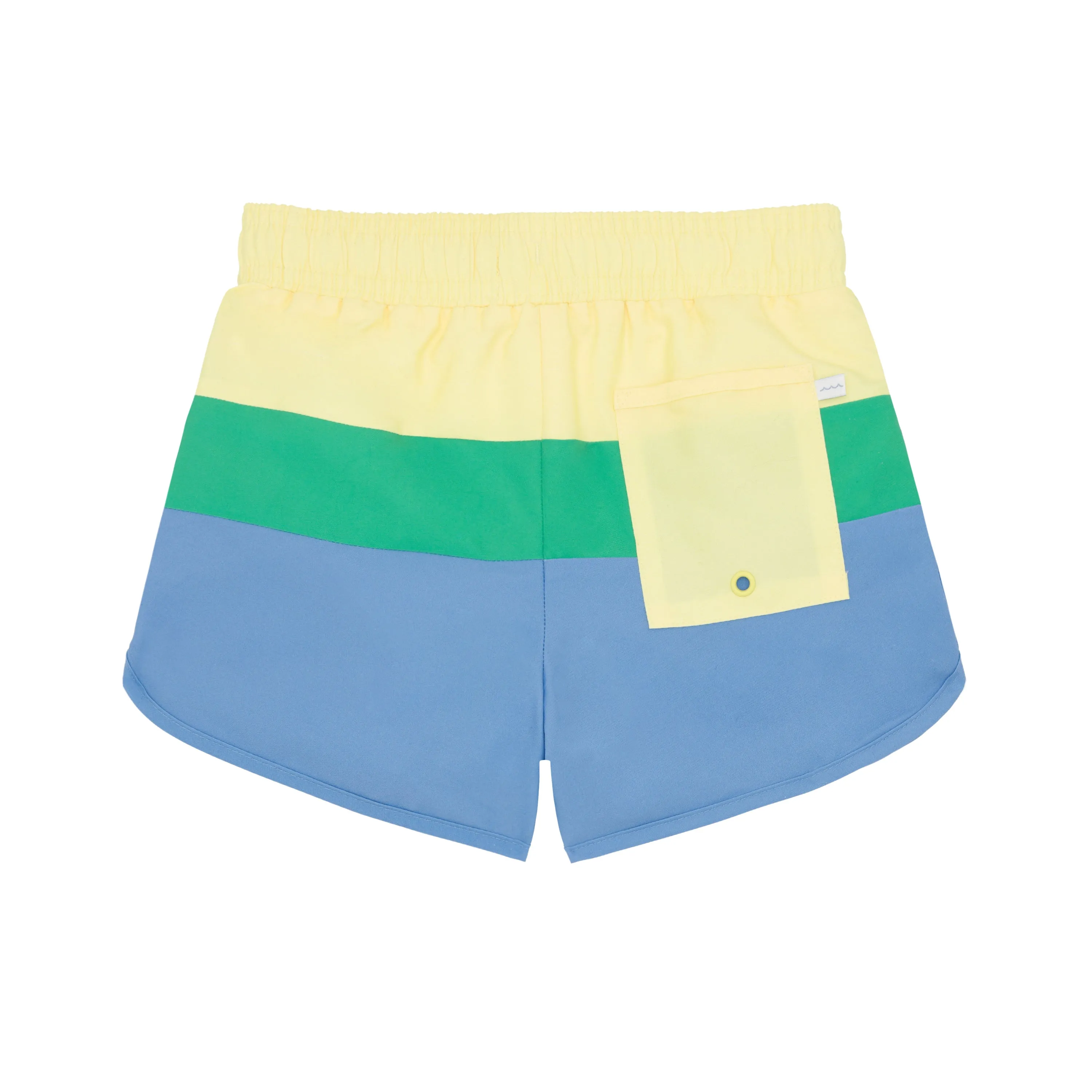 Hamilton Colorblock Boardie
