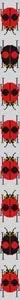 Ladybug Strap/Belt HC-L190