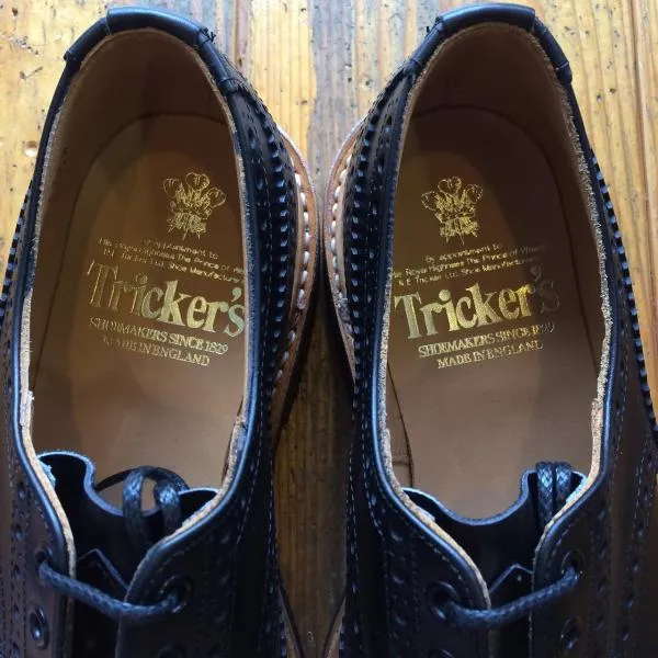 M5633 WINGTIP