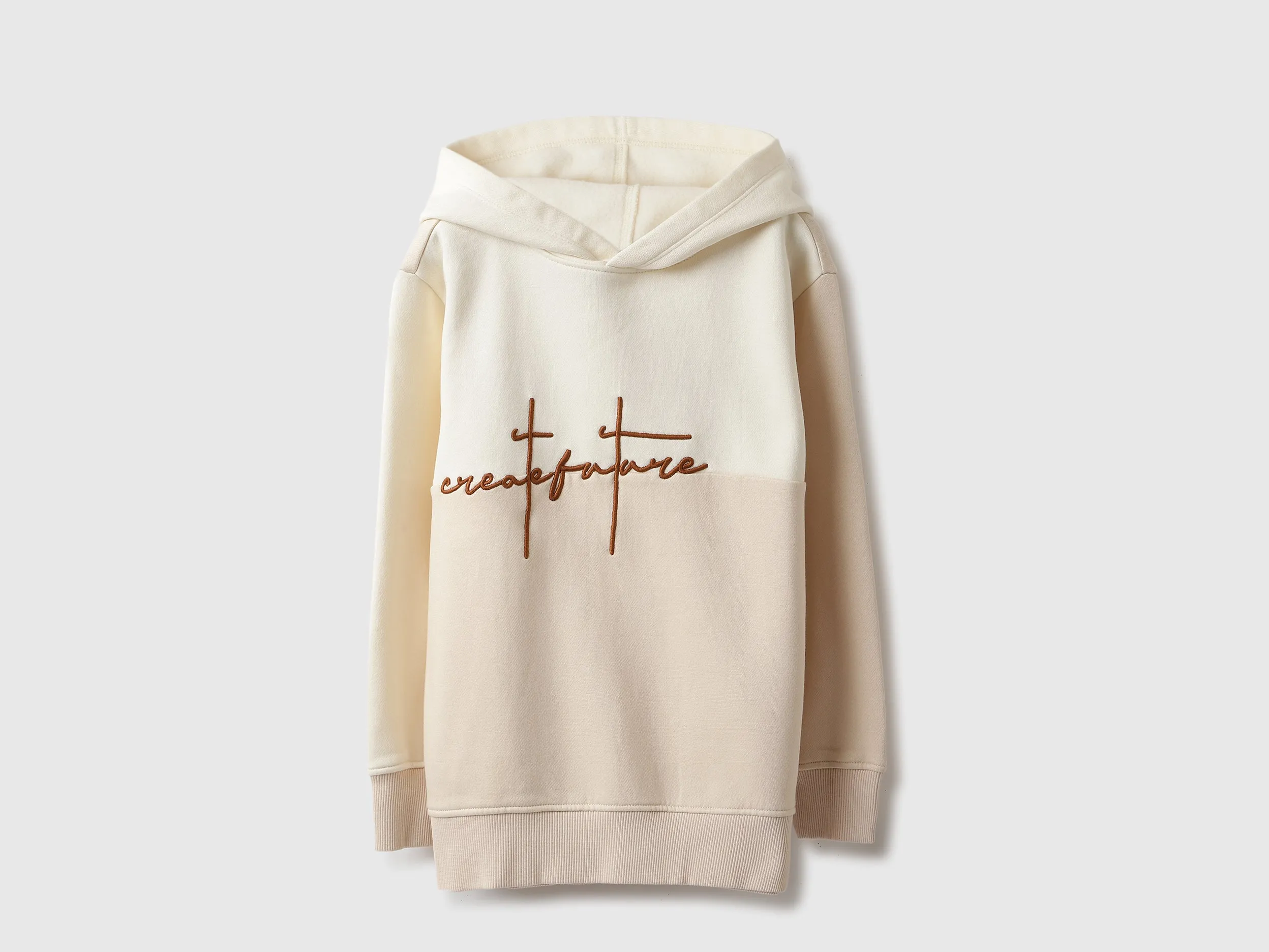 Regular Fit Hooded Neck Colorblock Sweatshirt