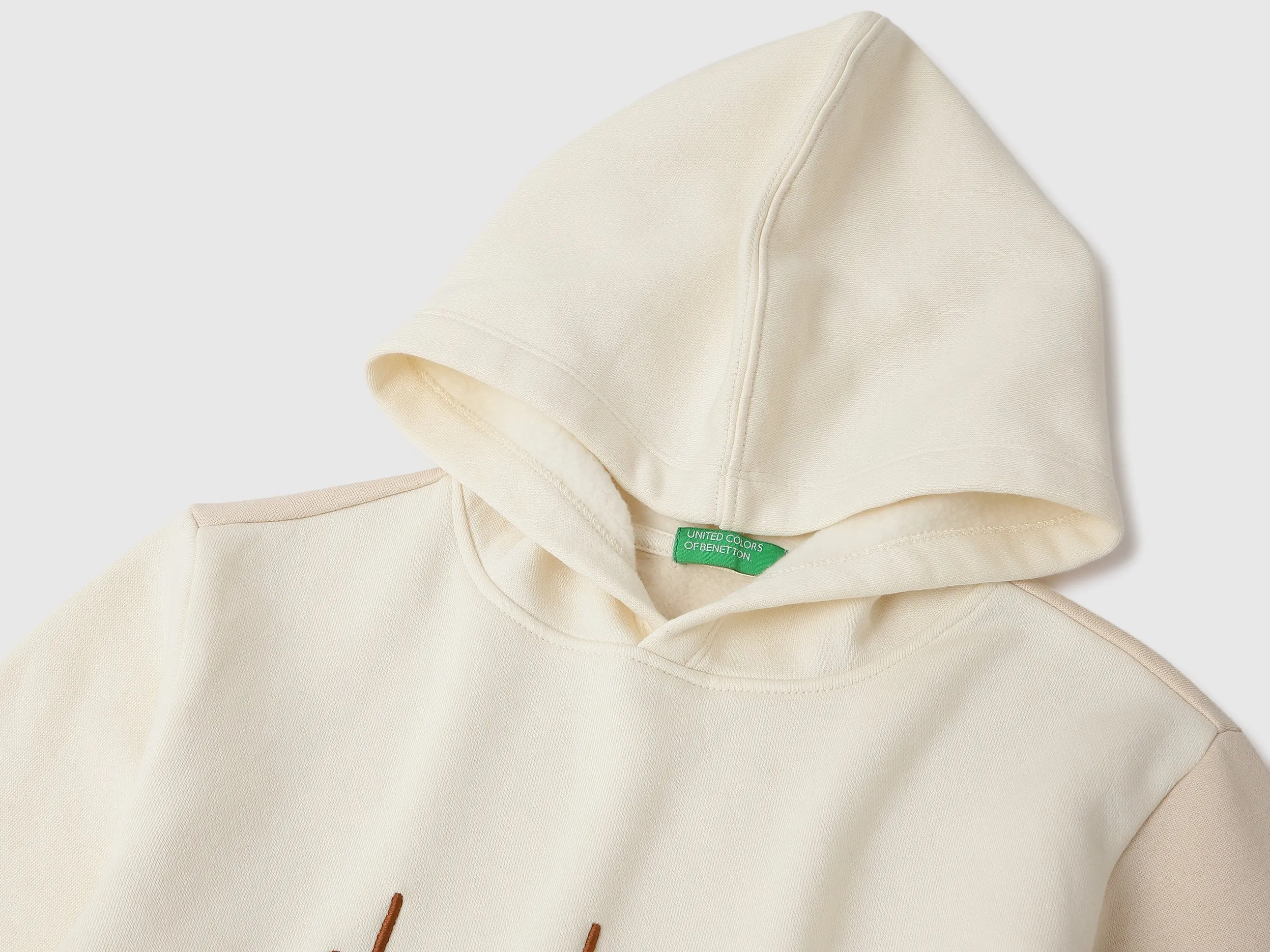Regular Fit Hooded Neck Colorblock Sweatshirt