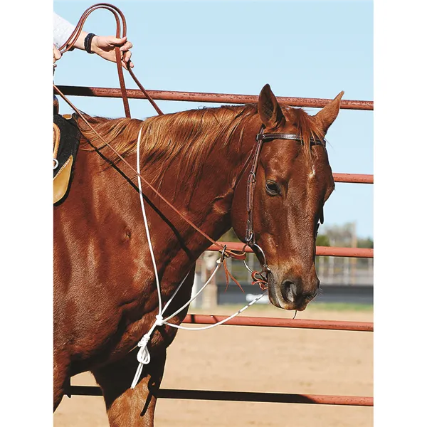 STRING MARTINGALE